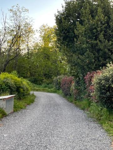 Appartamento Il Picchio Verde Altopascio Exteriér fotografie