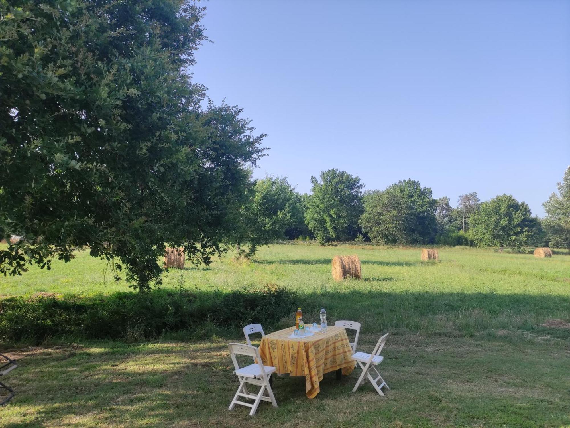 Appartamento Il Picchio Verde Altopascio Exteriér fotografie